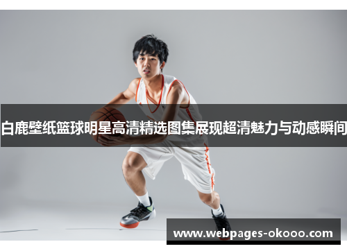 白鹿壁纸篮球明星高清精选图集展现超清魅力与动感瞬间