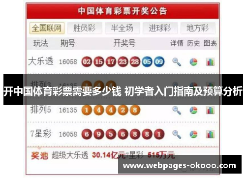 开中国体育彩票需要多少钱 初学者入门指南及预算分析