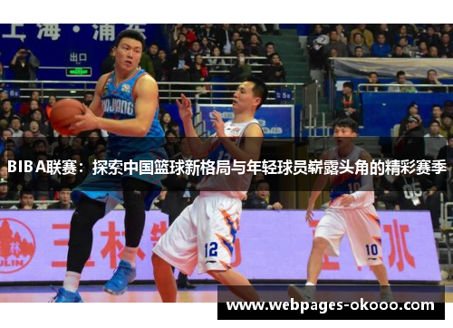 BIBA联赛：探索中国篮球新格局与年轻球员崭露头角的精彩赛季